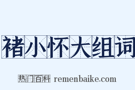 褚小怀大组词是什么意思的图片